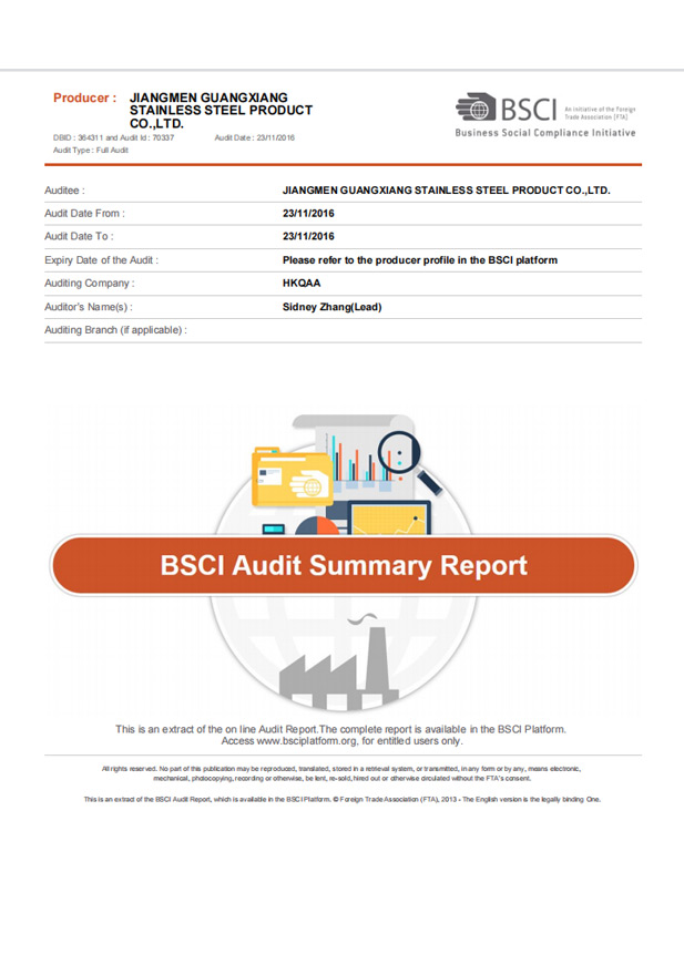 BSCI Report